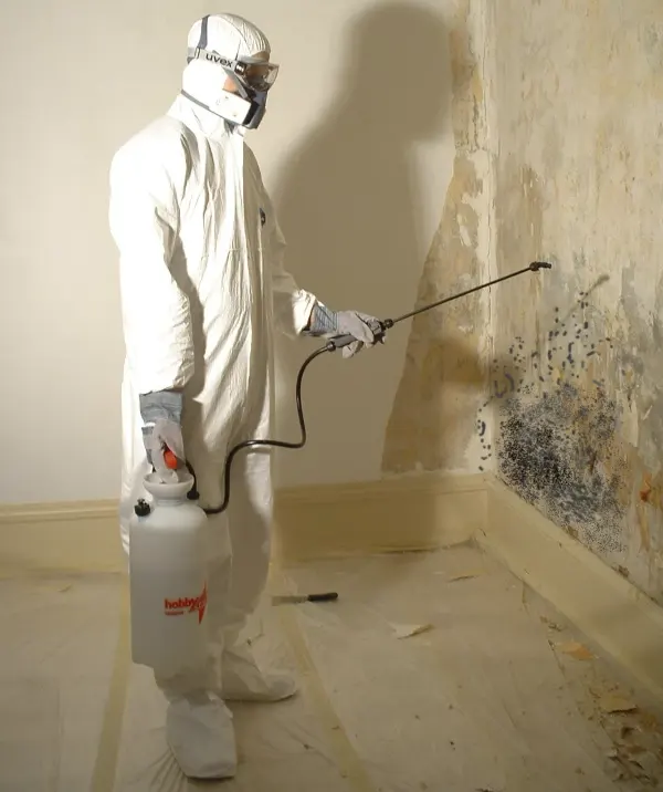 Person in weißem Schutzanzug, Handschuhen und Atemmaske sprüht mit einer Sprühflasche Schimmel an einer Wand.
